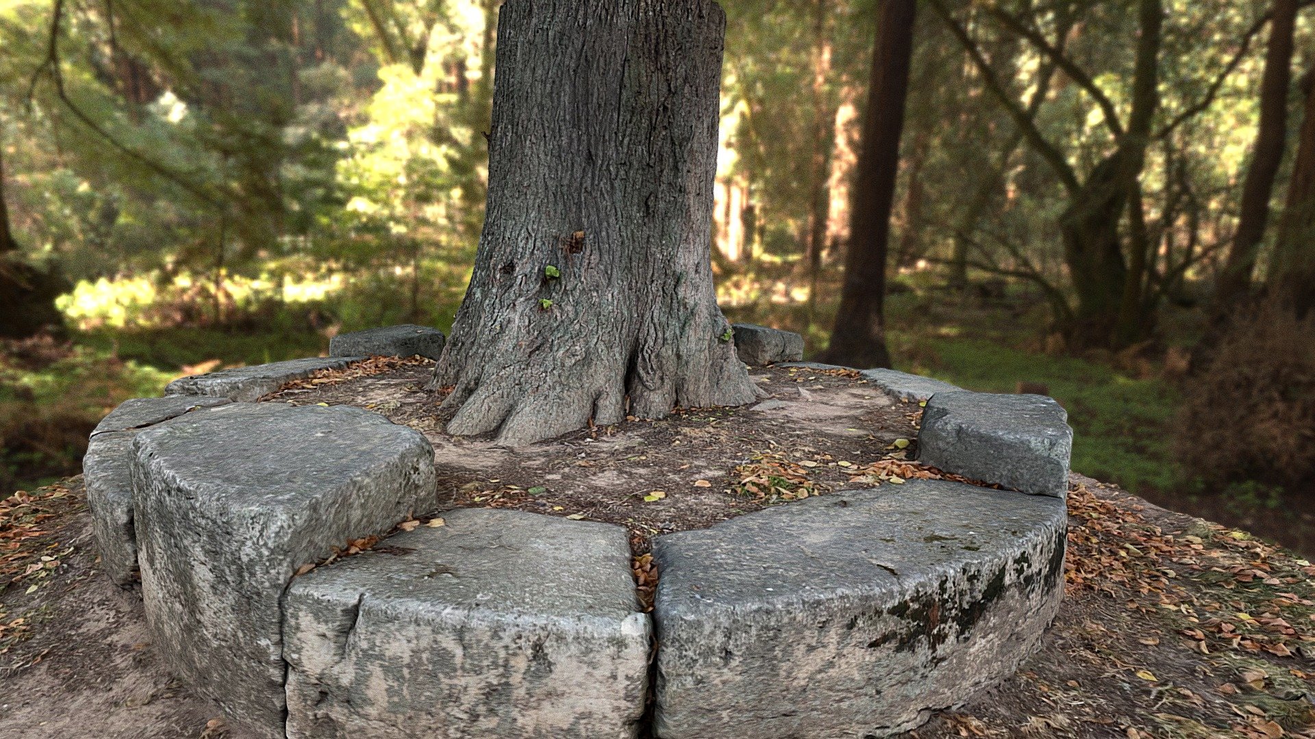 模型预览图