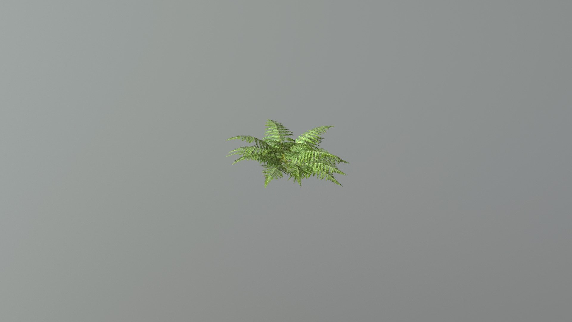 模型预览图