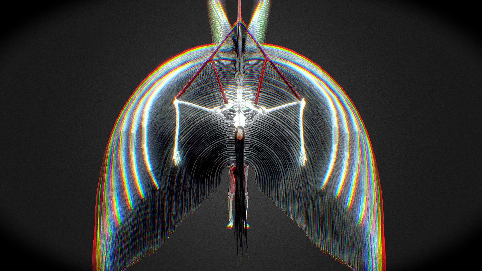模型预览图