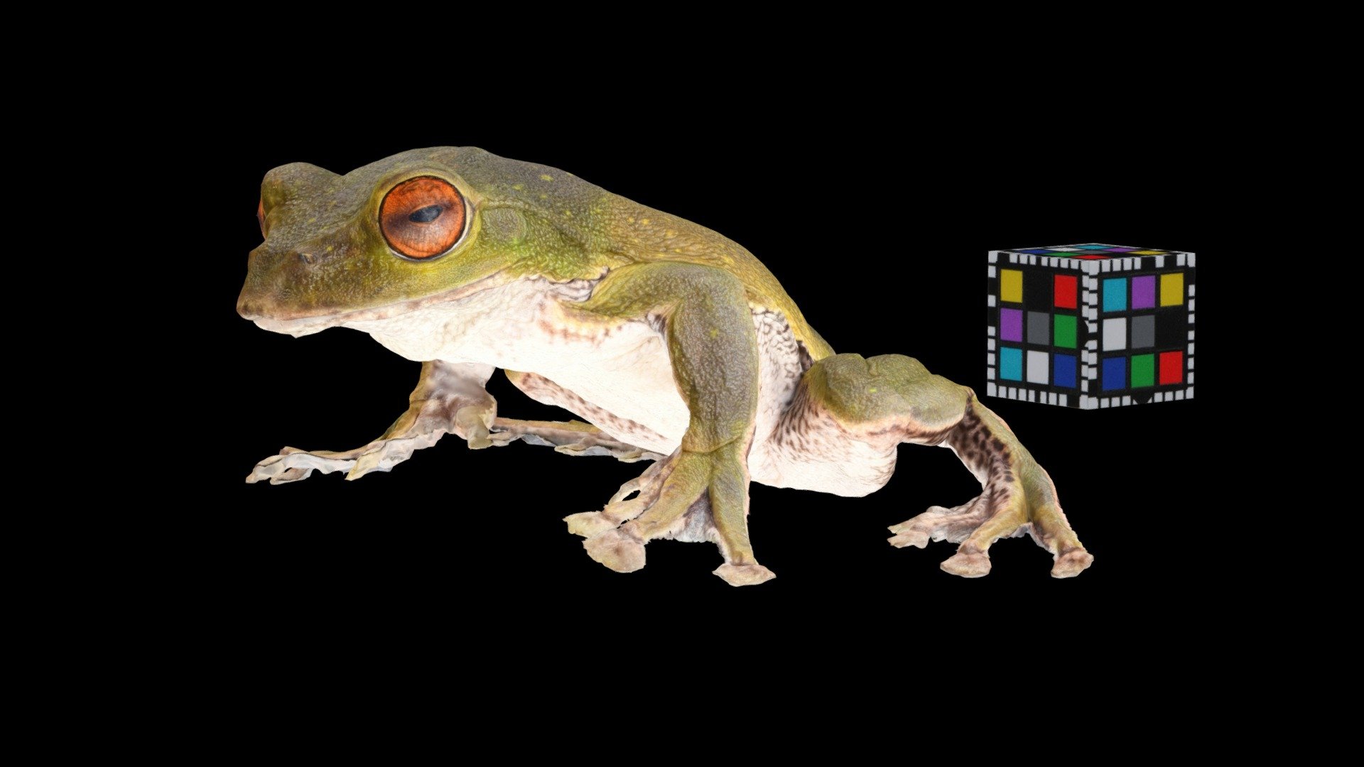 模型预览图