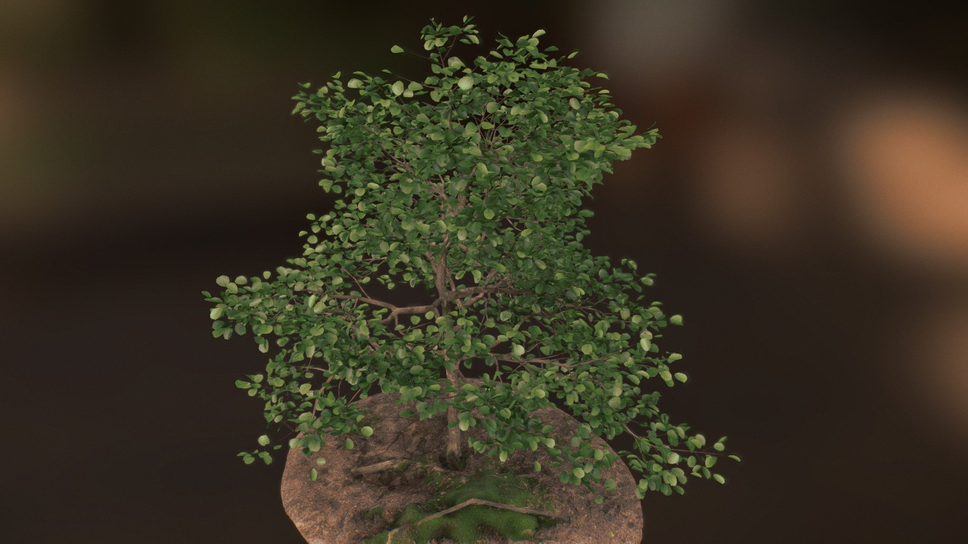模型预览图