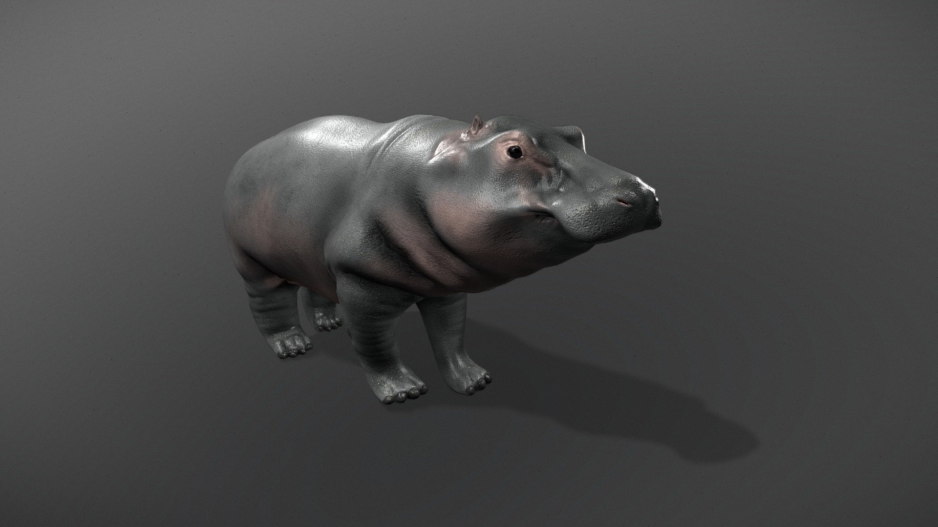 模型预览图