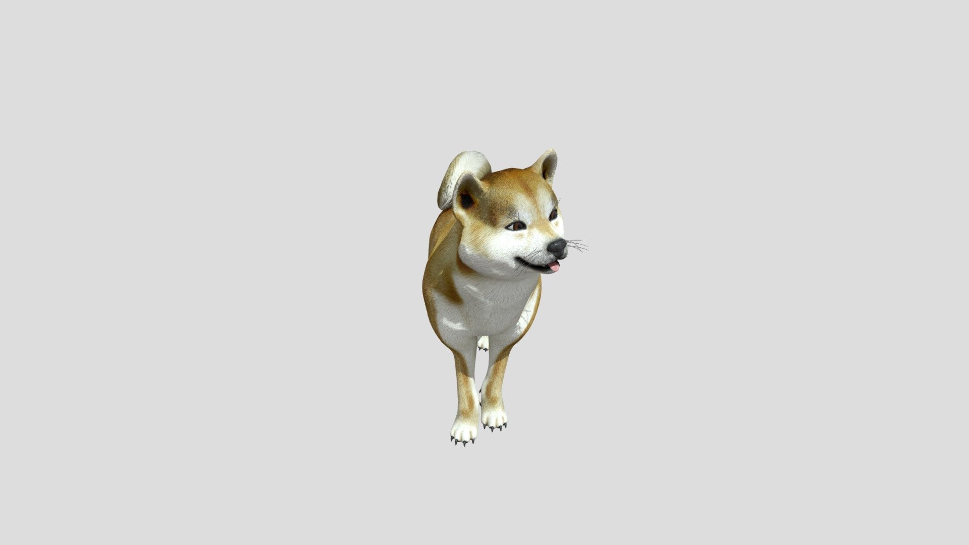 模型预览图
