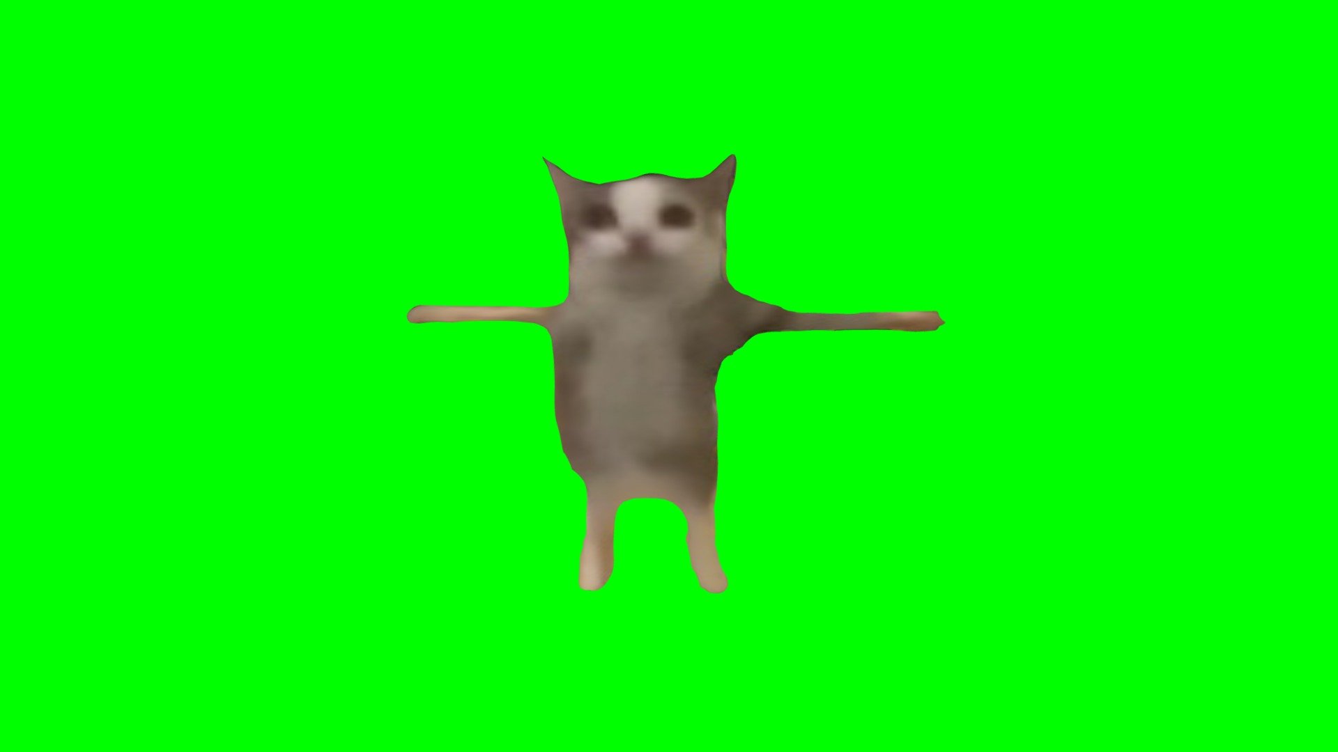 模型预览图