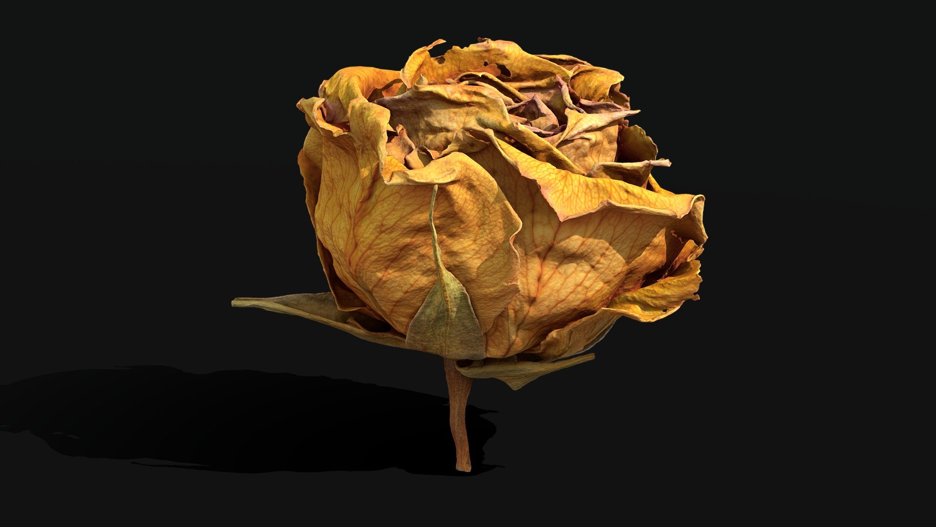模型预览图