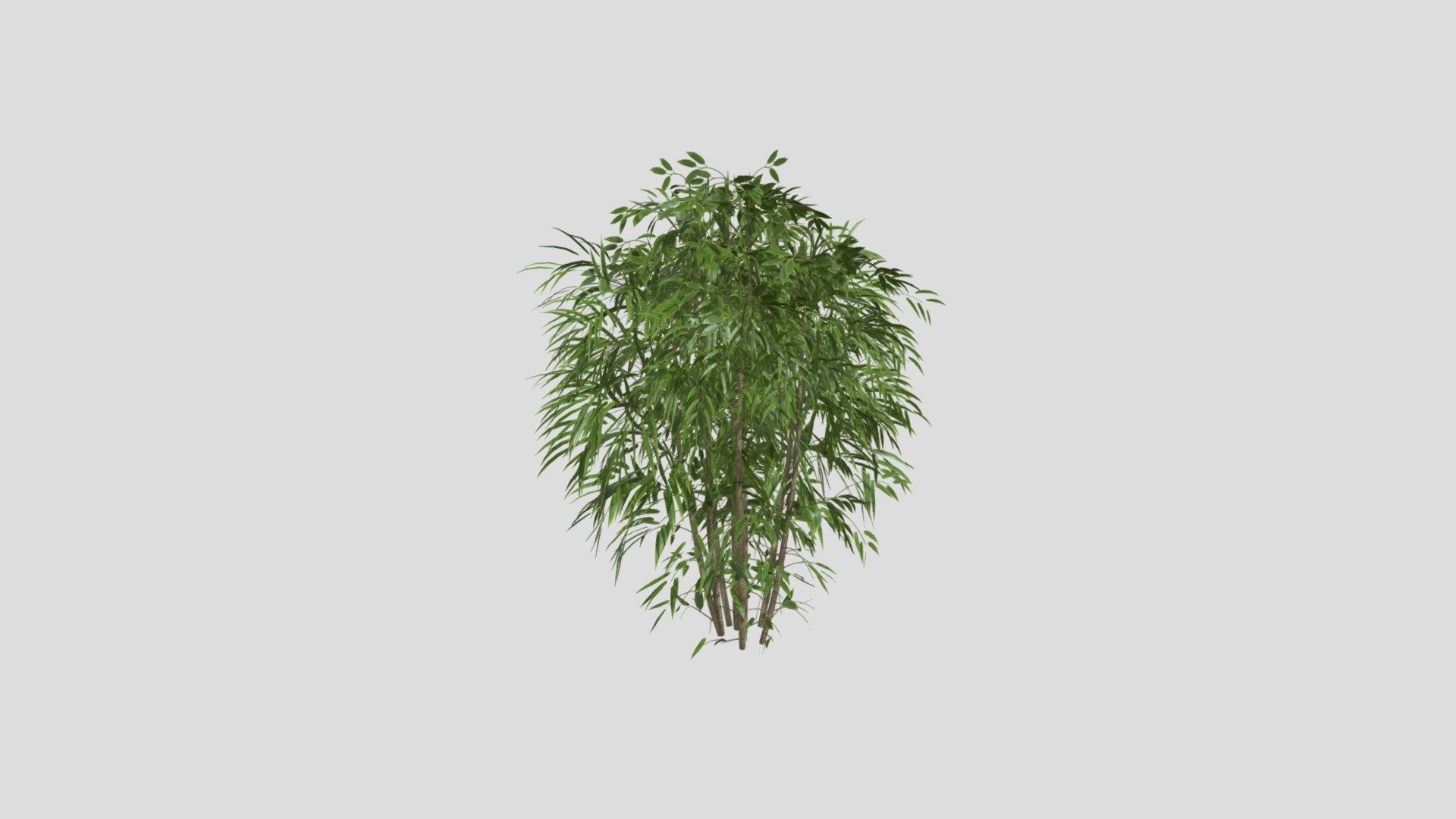 模型预览图