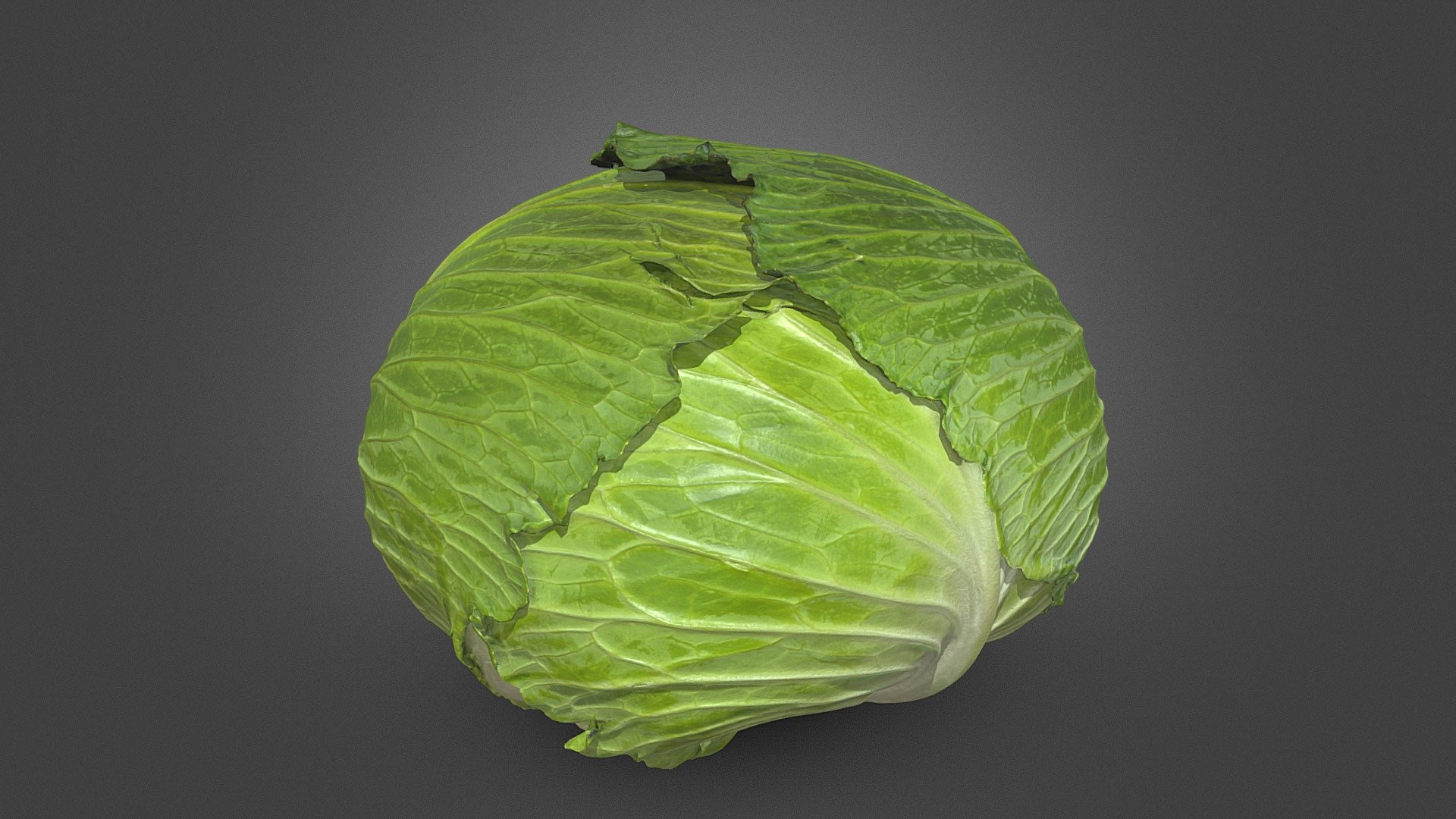 模型预览图
