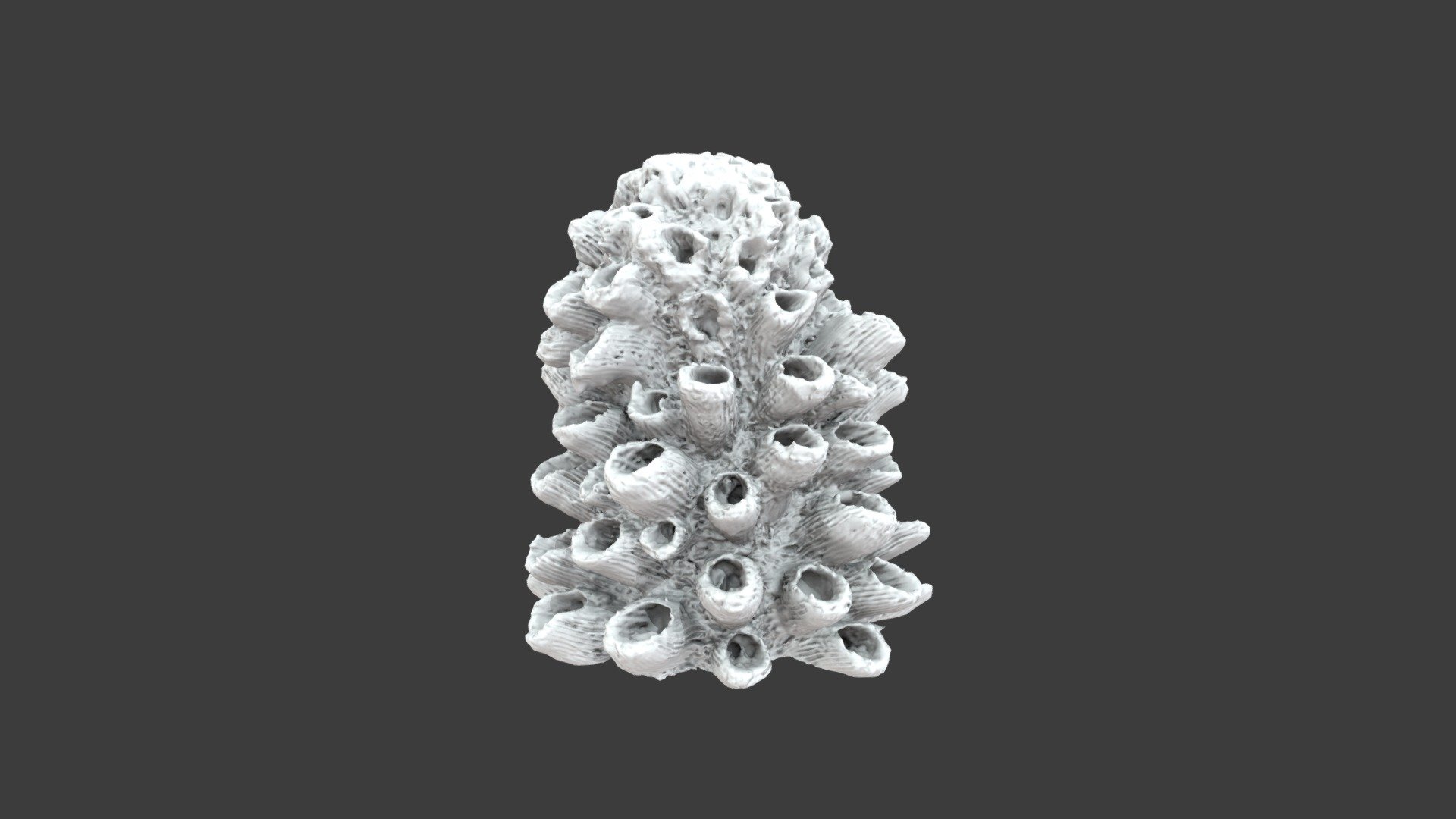 模型预览图