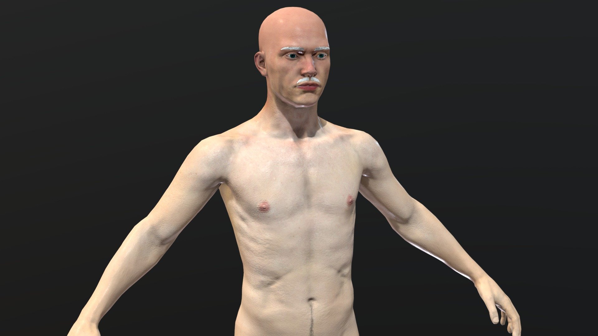 模型预览图