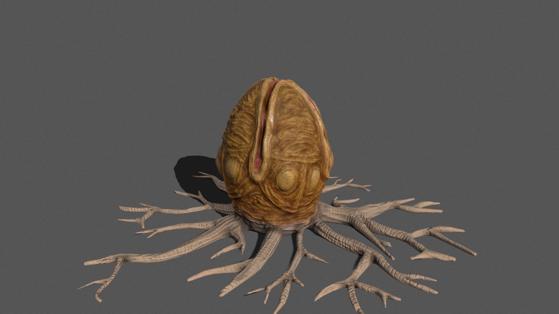 模型预览图