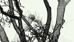 模型预览图