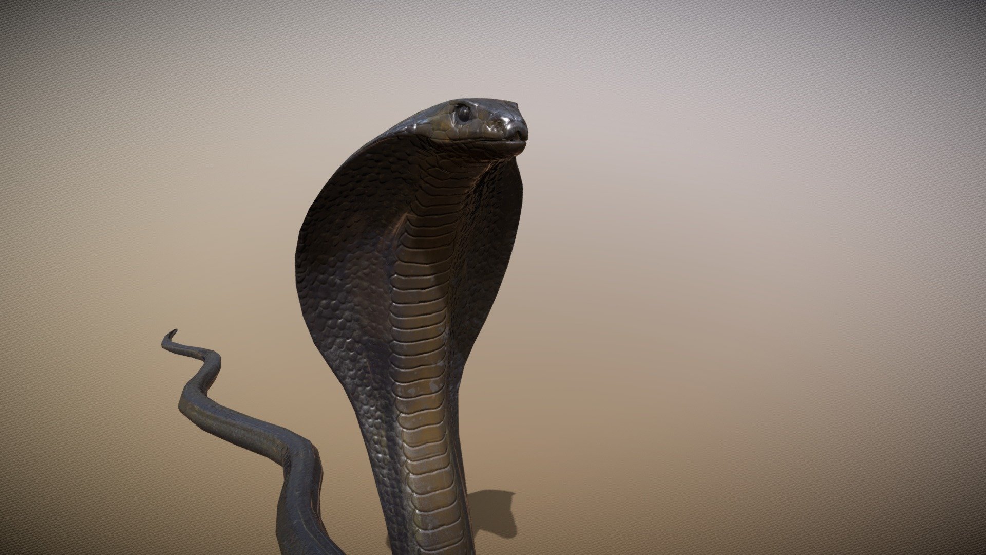 模型预览图