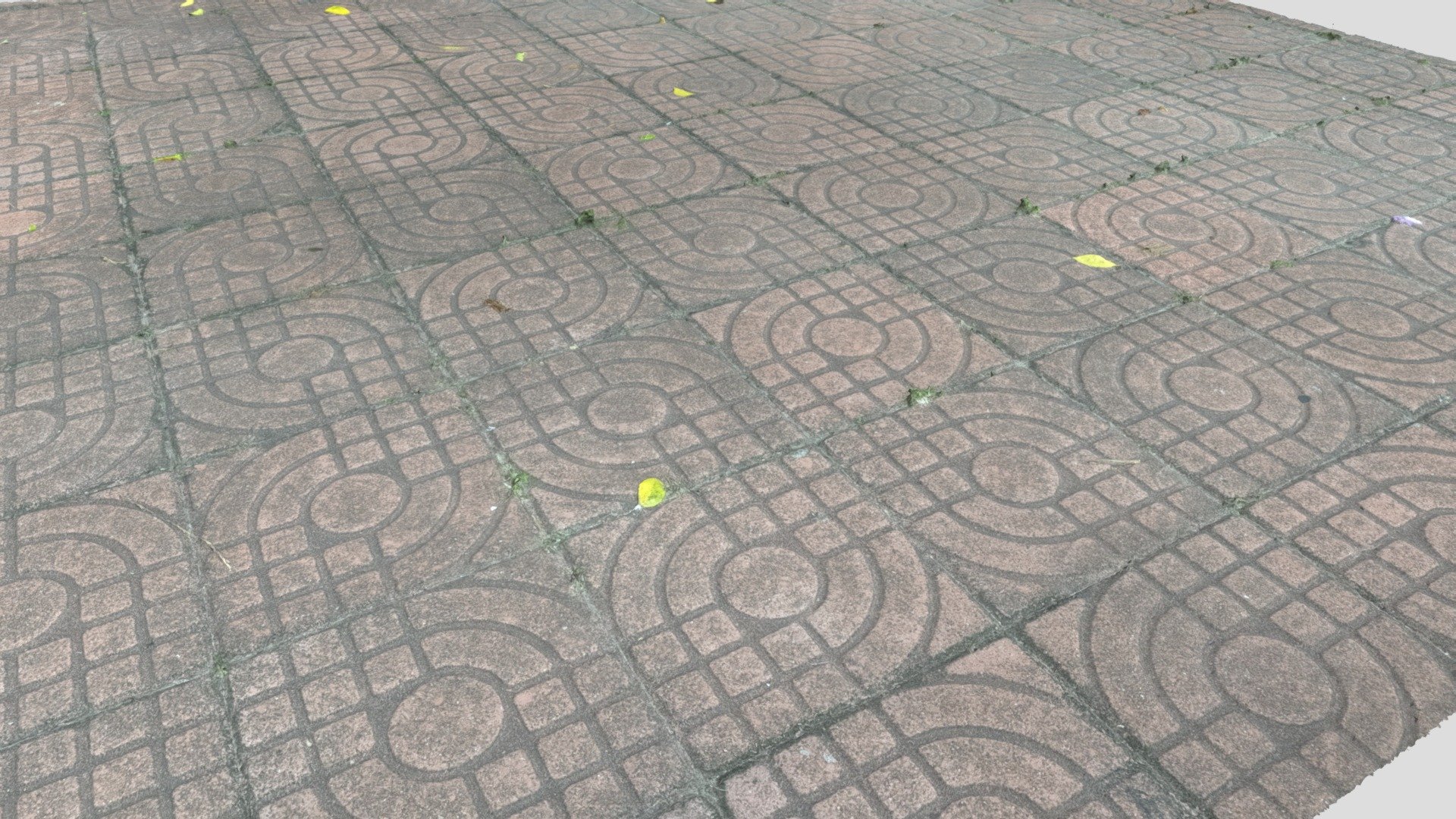 模型预览图