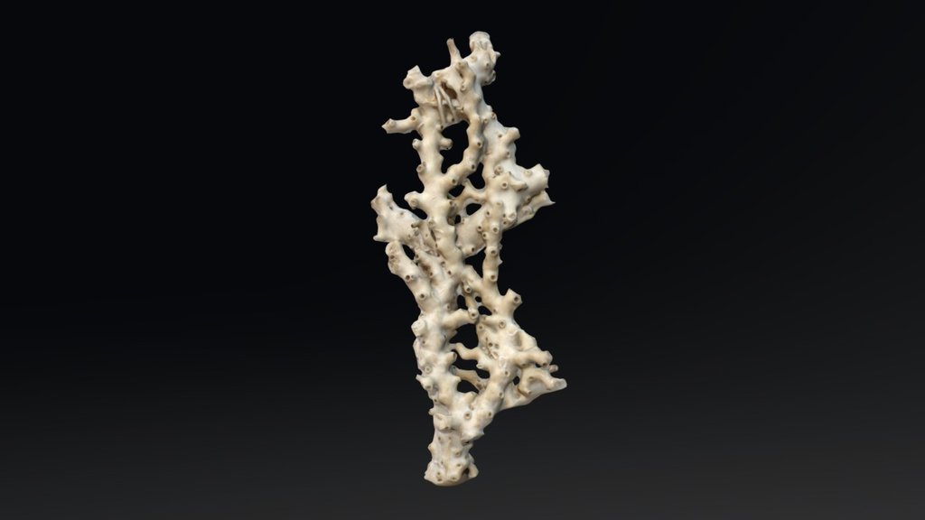 模型预览图